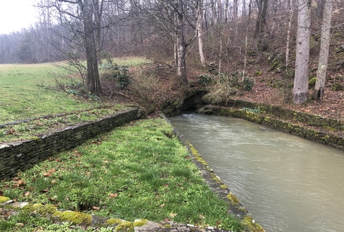 Head of the Sequatchie River1